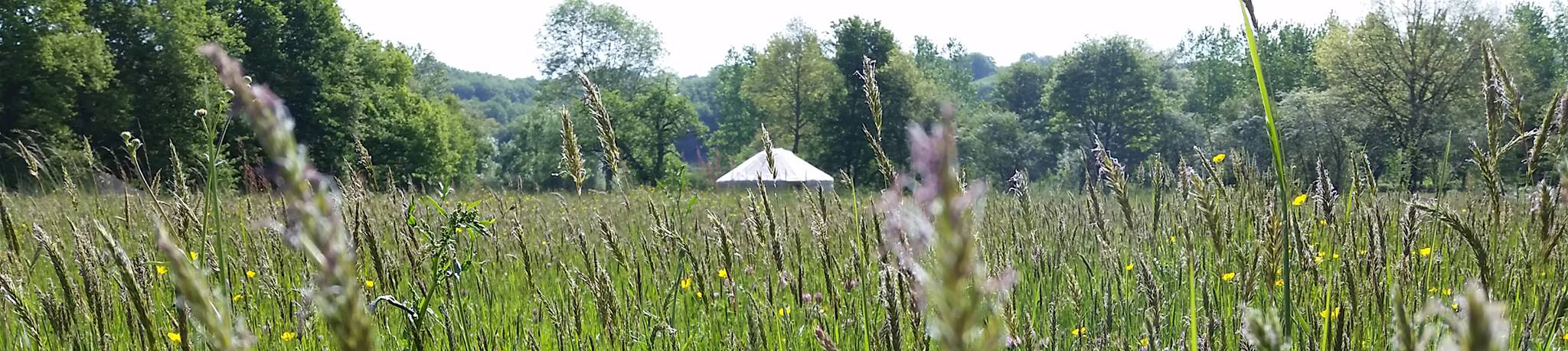 Vente Yourte, Yourte jardin, Gite; chambres d'hotes